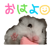 840091977