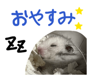840091980