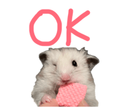 840091983
