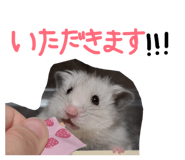 840091985