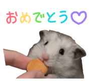 840091988