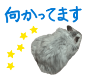 840091994