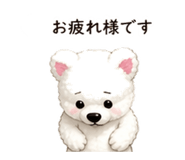 840093604