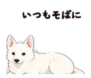 840093695