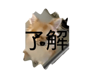 840095586