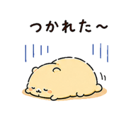 840095637
