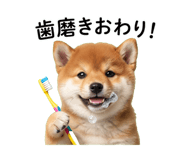 840096060