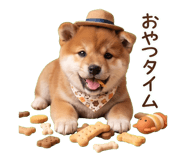 840096068