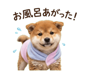 840096082