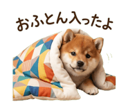 840096085