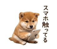840096087