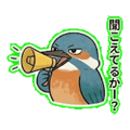 840096872