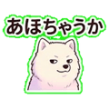 840096894