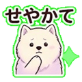 840096897