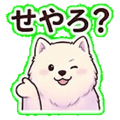 840096898
