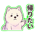 840096900