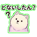 840096919