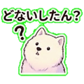 840096924
