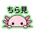 840097066
