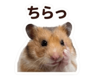 840097076