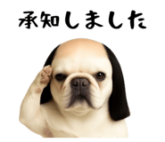 840098954