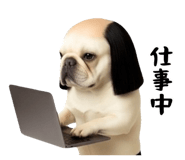 840098959