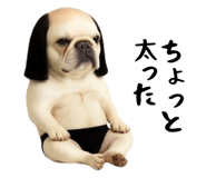 840098988
