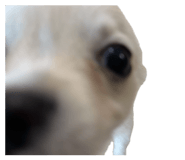 840099027