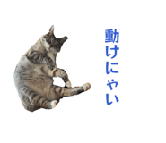 840100420