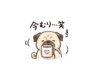 840101135
