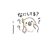 840101226