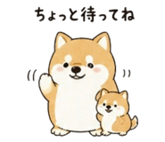840101897