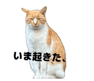 840103035