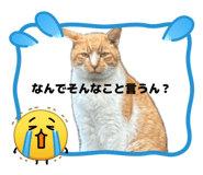 840103045