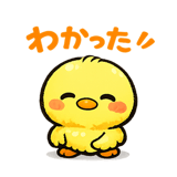 840104206
