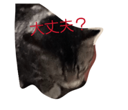 840104856