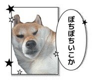 840105681