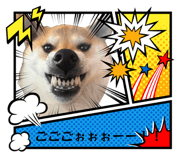 840105684