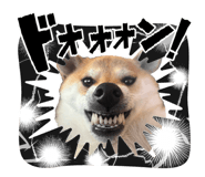 840105685