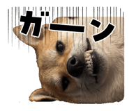 840105690
