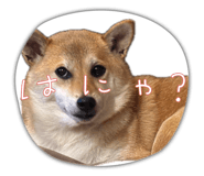 840105692