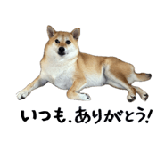840105697