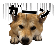 840105699