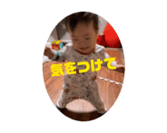 840106415