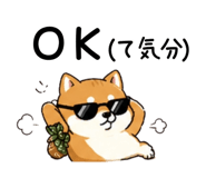 840106817