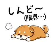 840106823