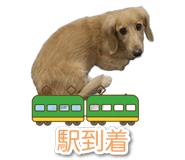 840106976