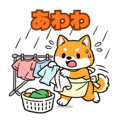 840108781