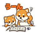 840108787