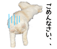 840109044